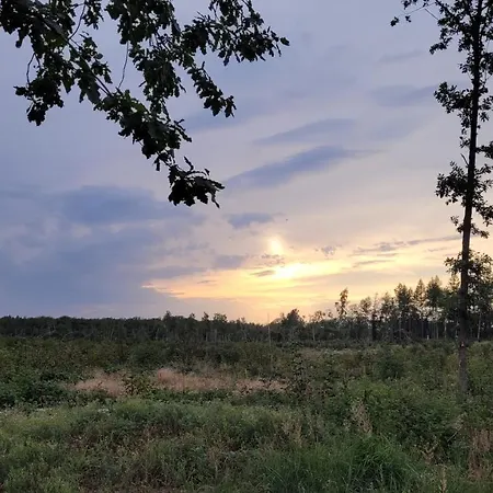 Falkenhof Meisdorf Buitenkant foto