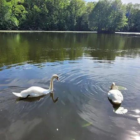 Falkenhof Meisdorf Buitenkant foto