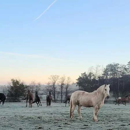 Falkenhof Meisdorf Buitenkant foto